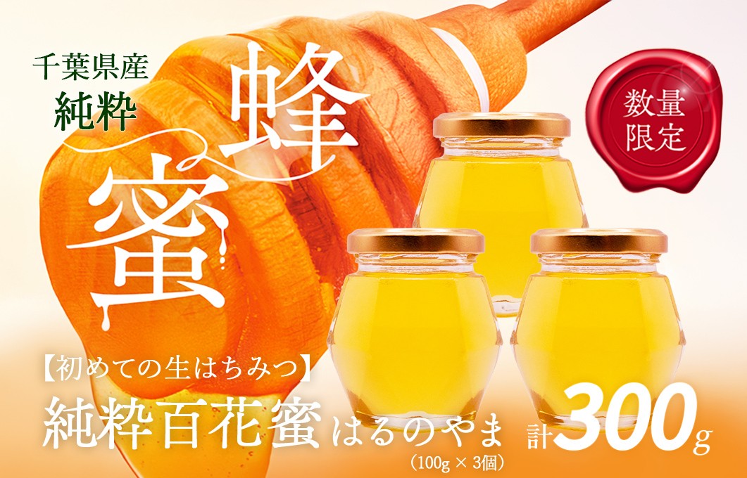 
            千葉県産「純粋はちみつ」はるのやま(百花蜜)3個 【 ふるさと納税 ハチミツ 蜂蜜 はちみつ お菓子作り おかしづくり セット 非加熱 生 千葉 大網白里市 送料無料 】 X008
          