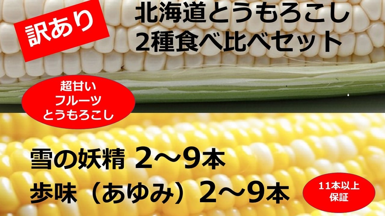 
                  訳あり 北海道 とうもろこし 2種類 合計11～12本 食べ比べセット 雪の妖精（ホワイトコーン）2～9本、あゆみ（歩味、バイカラー）2～9本 期間限定 数量限定 トウモロコシ 
                