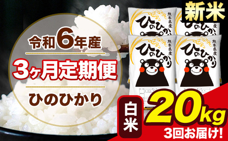 令和6年産 新米 【3ヶ月定期便】 ひのひかり 白米 20kg 5kg×4袋 計3回お届け 熊本県産 こめ コメ 白米 精米 荒尾市 ひの 米 定期 《お申込み月の翌月から出荷開始》