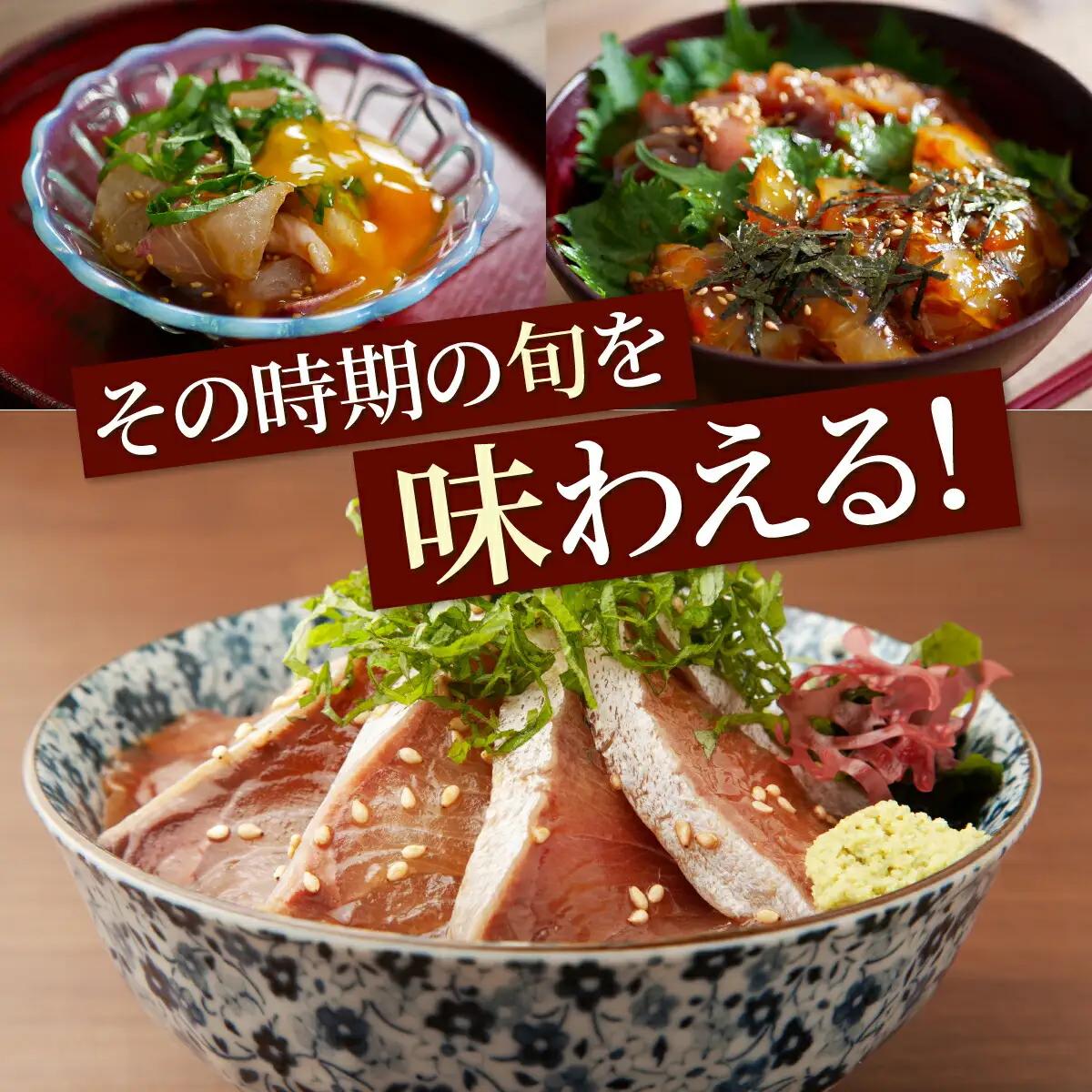 【3ヶ月 定期便】 初音自家製　室戸の海鮮漬け丼(旬魚)170g おかずに海鮮丼に茶漬けに