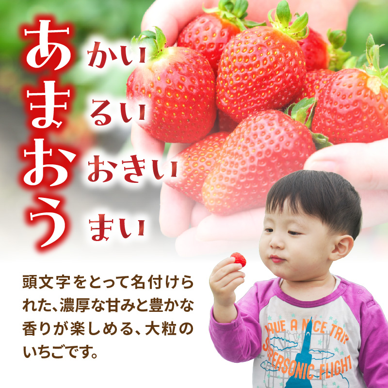 【2027年3月配送開始】福岡・博多名物ブランドいちご「あまおう」2パック 合計約500g ＜配送不可：北海道・沖縄・離島＞ あまおう いちご 苺 イチゴ フルーツ 果物 くだもの 人気 旬 福岡県産