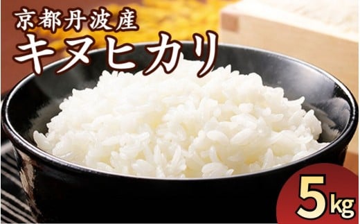 【3月発送】【期間限定 生活応援】京都丹波産 きぬひかり 精米 5kg【JA京都たわわ朝霧】 白米 米 お米 こめ コメ ライス ご飯 ごはん ふっくら つやつや おいしい 美味しい 贈り物 単一原料米 国産 キヌヒカリ 仕送り お取り寄せ 令和7年産米 産地直送 人気 おすすめ 5キロ【3/31迄 寄附額改定】