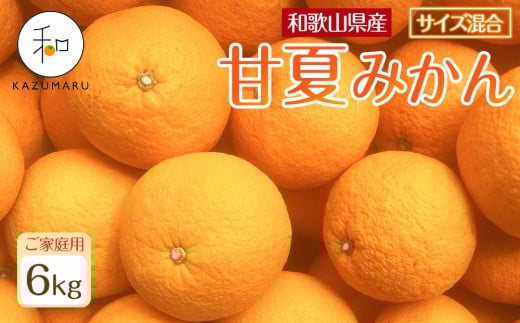 家庭用 森本農園の手選別 甘夏みかん 約6kg 和歌山県産 サイズ混合 ［北海道・沖縄・離島配送不可］［2026年4月上旬から順次発送］［RN70］