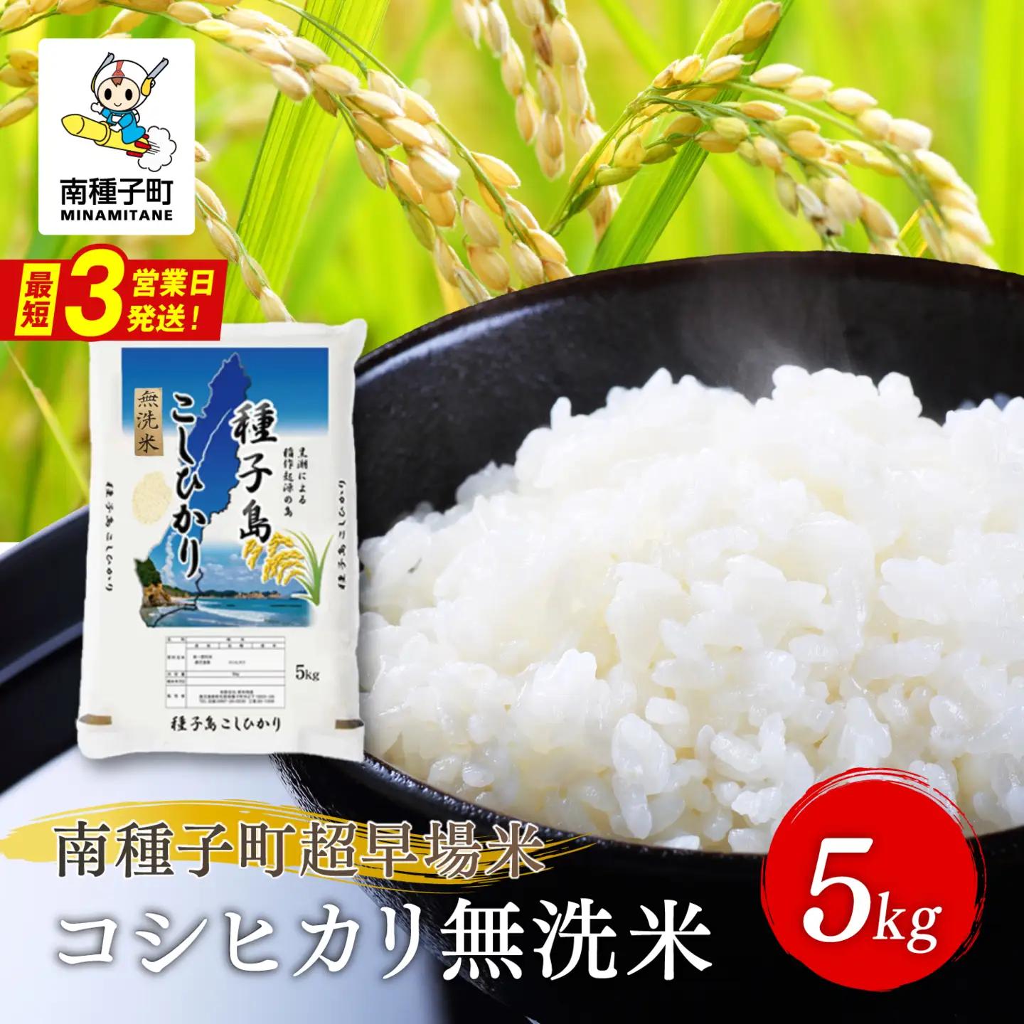《令和8年産米 新米》 種子島産 無洗米 コシヒカリ5kg 【新栄物産】