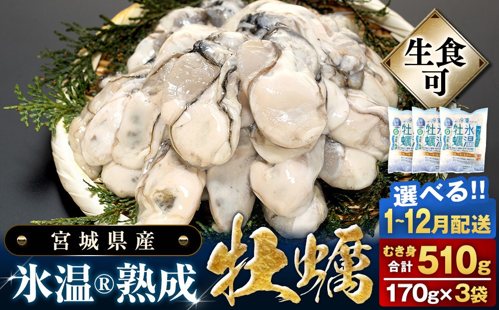 
                  配送月 が 選べる 宮城県産 かき むき身 氷温熟成 牡蠣 生食用（冷凍）3袋 （1袋 170g）生食 むき カキ 冷凍牡蠣 牡蠣むき身 殻なし 510g 小分け 冷凍 バラバラ冷凍 宮城県 石巻市 宮城 石巻 まるたか水産
                