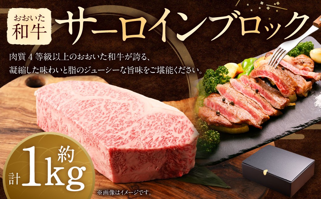
            おおいた和牛 サーロイン ブロック （約 1kg ） 
          