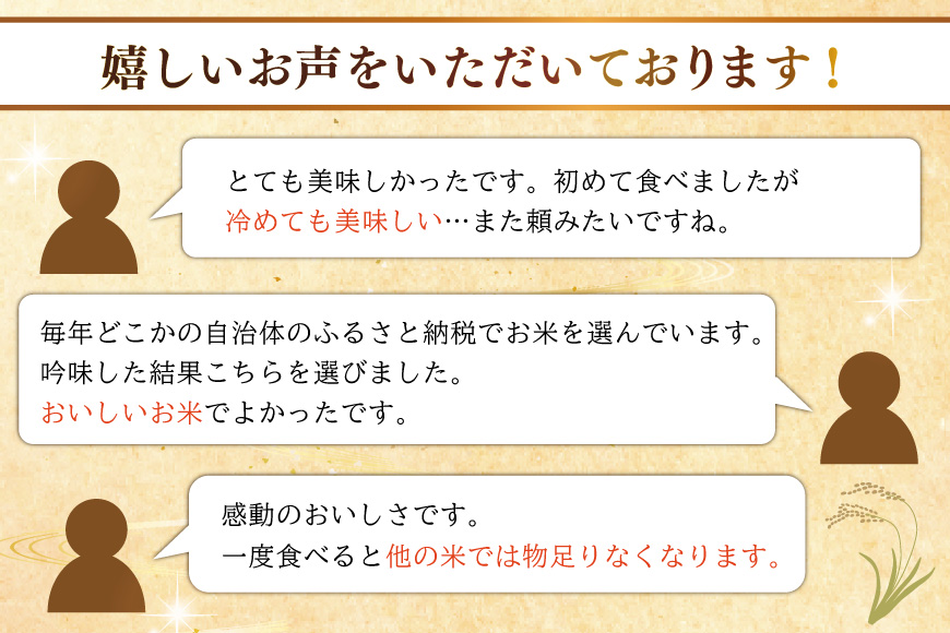 米 定期便 12回 令和8年産 特別栽培米 雪若丸 10kg 12回 計120kg [渡部ファーム 山形県 高畠町 tk06ays810060] ふるさと納税 お米 おこめ こめ コメ 白米 精米 ご