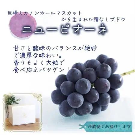 岡山　花笑み農園の『ニューピオーネ』1kg (2房) P-1【配送不可地域：離島】【1650729】
