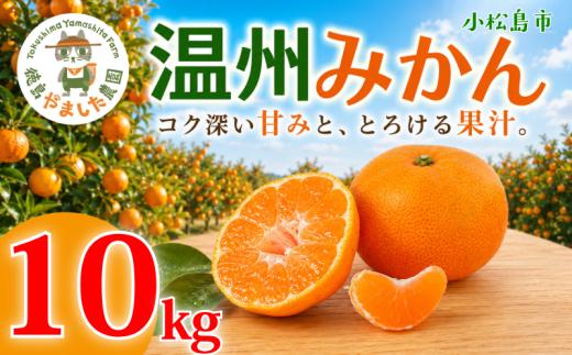 【先行予約】 【2026年12月順次発送】 温州みかん 10kg みかん  完熟 柑橘 果物 フルーツ 国産 新鮮 お中元 甘い 農家直送 【北海道、東北、離島、沖縄配送不可】