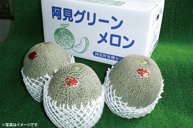 【6月下旬発送予定】メロン 4L～5L 2～3玉 約5.5kg 阿見グリーンメロン 茨城県 化粧箱入り 贈答 自分用 数量 限定 希少 品種（04-29）