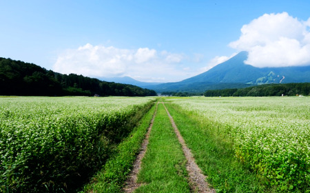 【長野県 信濃町 / 農事組合法人 信濃富士そば農場】限定200食 一茶の里の生(ﾅﾏ)そば  ≪200g（そばつゆ2袋）×5袋≫【長野県 信濃町 ふるさと納税】