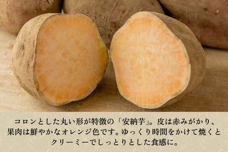 【家庭用】安納芋 1kg（A品・B品混在） 新潟県加茂市七谷産 さつまいも《11月下旬〜順次発送》 サツマイモ お芋 焼き芋 スイートポテト 野菜 根菜 低温熟成 加茂市 YAGOROU ヤゴロウ