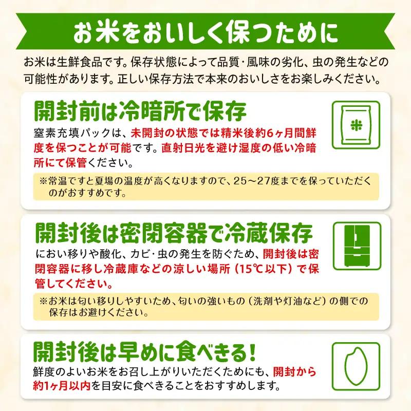 国産ブレンド米 「米一膳」10kg 米