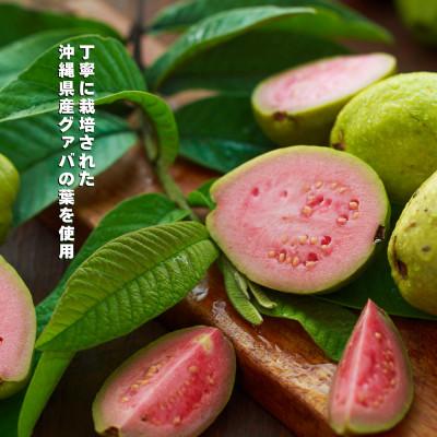 ふるさと納税 うるま市 グァバ茶ペットボトル500ml(24本入り 1ケース) |  | 01