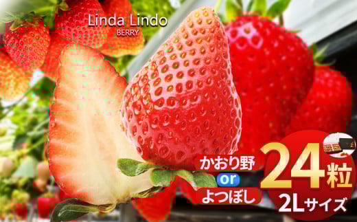 【2026先行予約】Linda Lindo BERRY 2Lサイズ 12粒x2 計24粒