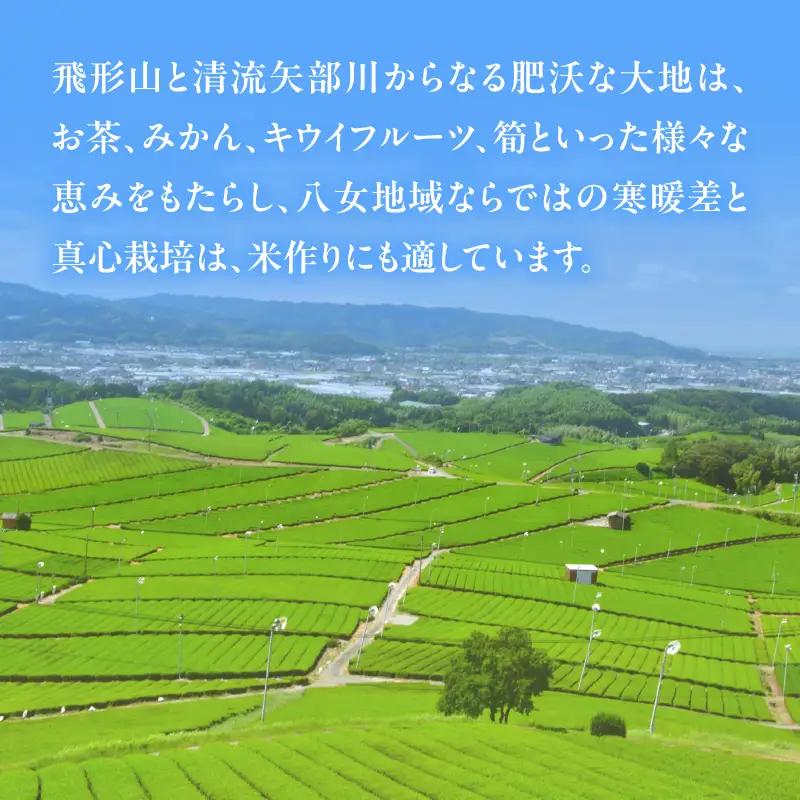 八女産ヒノヒカリ 5kg！ 清流矢部川と大地の恵み 米 白米 ご飯 粘り 甘み コク  026-001