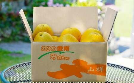 【数量限定】 河内晩柑 中玉 6kg みかんの山祥 河内晩柑