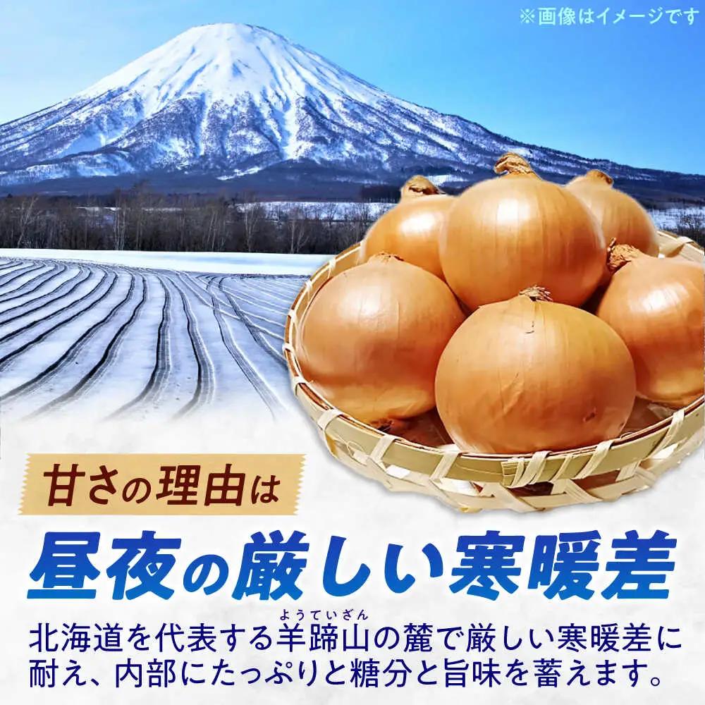 【2026年10月上旬以降順次発送】 玉ねぎ 10kg | 野菜 玉ネギ たまねぎ やさい 北海道 産地直送 | 道の駅 真狩フラワーセンター[BPAM080]