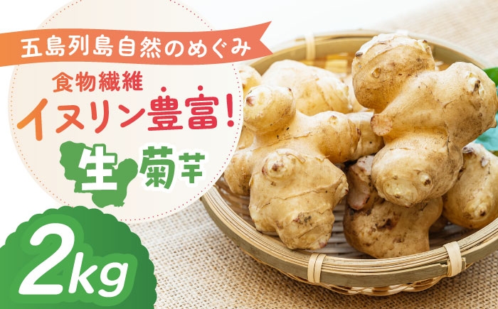 
                  【2026年11月先行予約】生キクイモ（菊芋）2kg 五島市/五島列島自然のめぐみ [PGM005] 
                