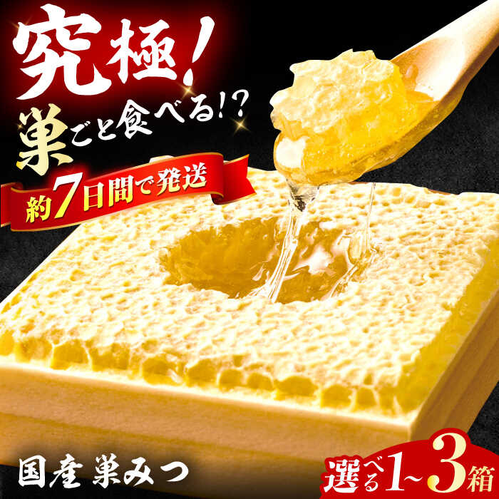 【ふるさと納税】【選べる容量】国産巣みつ 300g-900g はちみつ 蜂蜜 ハチミツ スピード発送 広川町 / 株式会社九州蜂の子本舗[AFAI004]