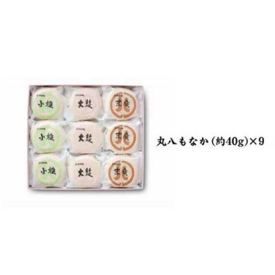 ふるさと納税 名古屋市 【3種の賑やかな味わい】丸八もなか9個入 和菓子 |  | 01