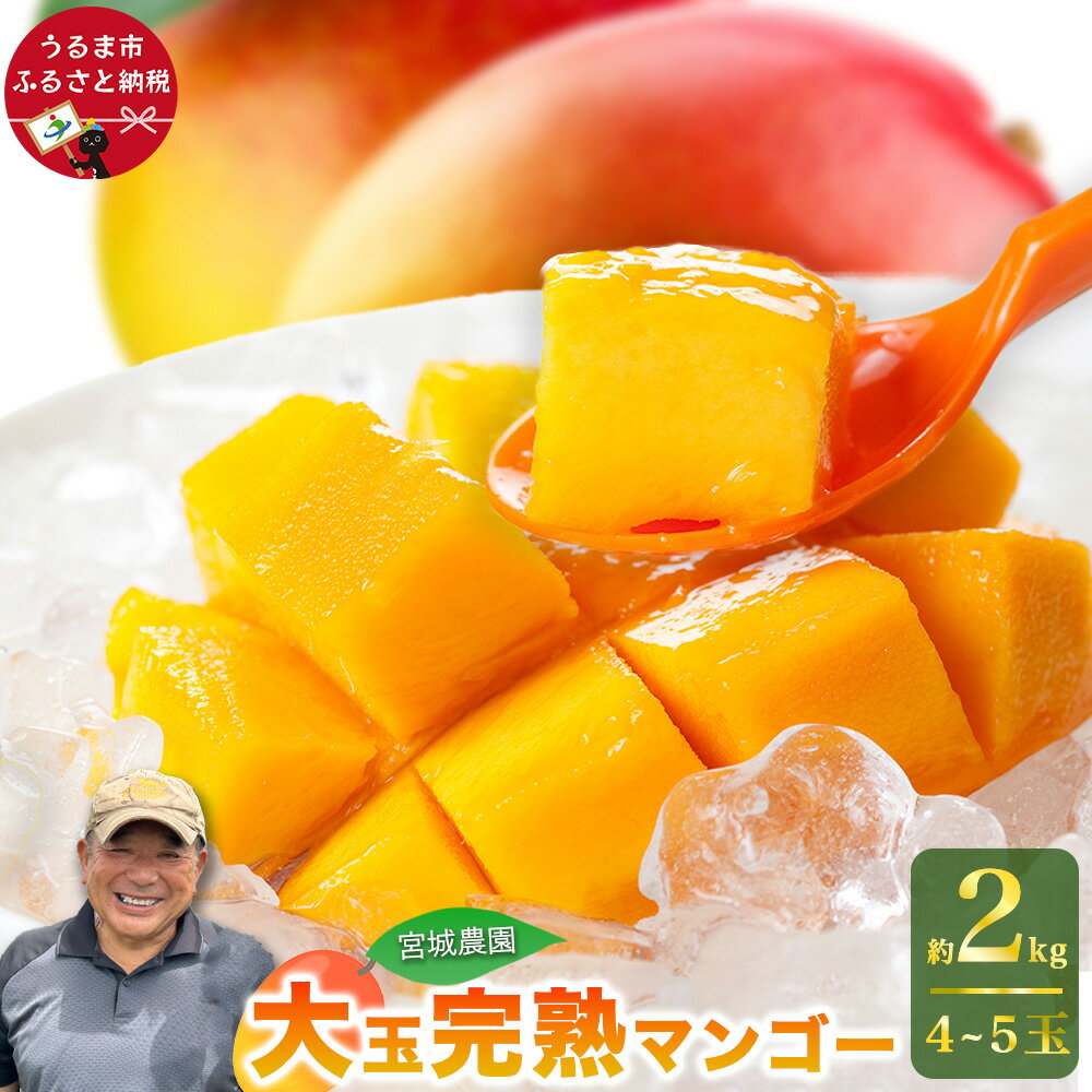 【ふるさと納税】宮城農園の完熟マンゴー 約2kg（4-5玉）【 先行予約 2026年発送 】国産 果物 南国 くだもの フルーツ 有機栽培 完熟 夏 旬 特産品 沖縄 取り寄せ 産地直送 農家直送 甘い 濃厚 沖縄 うるま市 宮城農園