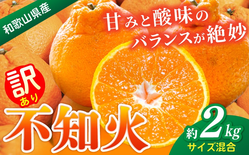 
                  【訳あり・ご家庭用】 森本農園の手選別 不知火 約2kg 和歌山県産 サイズ混合【北海道・沖縄・離島配送不可】【1月下旬～4月末頃順次発送】【BV-mrmt085】
                