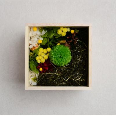 ふるさと納税 宇治市 【お花とお茶葉のアレンジメント】茶和花(宇治駅)グリーン4寸
