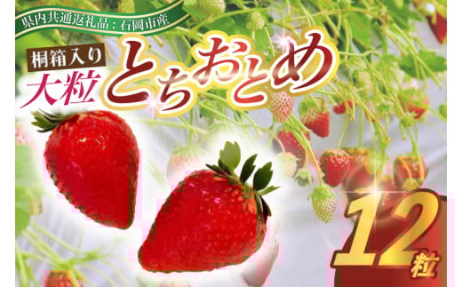 ＜2025年11月より順次発送＞桐箱入り大粒とちおとめ12粒 (県内共通返礼品:石岡市産) (BR025)