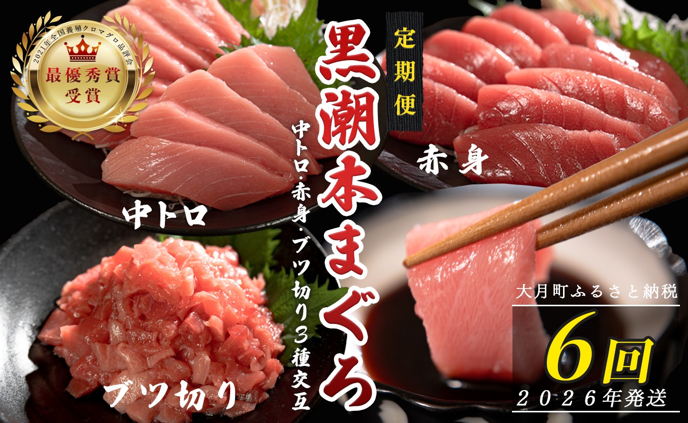 
            【定期便 6回】日本一!黒潮本まぐろ 中トロ・赤身・ブツ切り（3種交互）
          