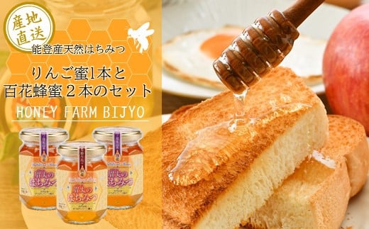 [H049] 能登産天然はちみつ『りんご蜂蜜＆百花蜂蜜２本』セット