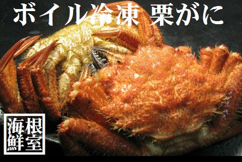 【北海道根室産】クリガニ6～７尾(計1.5kg) A-57022