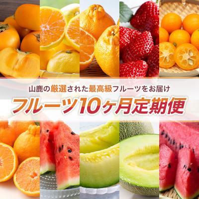 ふるさと納税 山鹿市 【発送月固定定期便】フルーツ10ヶ月定期便(10月〜7月)(山鹿市)全10回