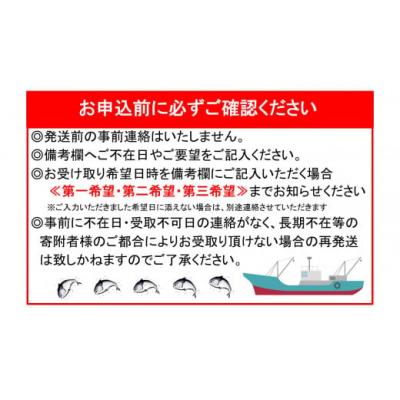 ふるさと納税 錦江町 ふる里館 ヒラマサブロックセット　1ケース(No.1394-1) |  | 03
