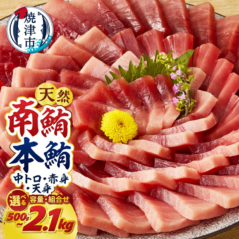 【ふるさと納税】 マグロ 南マグロ 本マグロ 天然 【選べるお届け時期/種類】 南鮪 本鮪 まぐろ 鮪 赤身 中トロ 訳あり 正規品 刺身 切り落とし 柵 700g 1.4kg 2.1kg 食べ比べ 540g 720g 1080g 天身 500g 1kg 魚 冷凍 贅沢 高評価 a15-719