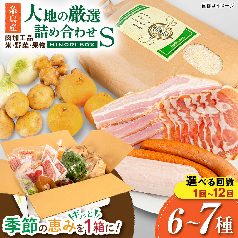 【ふるさと納税】 糸島産 肉 米 野菜 果物 厳選詰め合わせ MINORI BOX Sサイズ 糸島市 / emma.Inc / 米 肉 野菜 果物 定期便 [AOP001] お届け回数選べる セット 旬