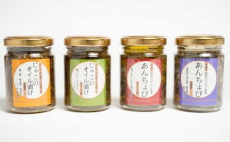 あんちょび屋さんの手造りセット アンチョビ じゃこ おすすめ 人気 ギフト セット 詰め合わせ 愛媛県 松山市 お酒のお供 ごはんのお供【IS0041】