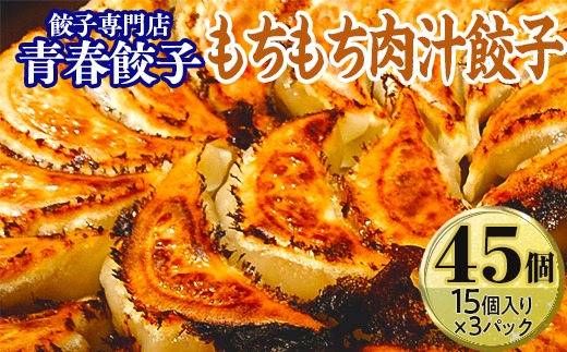 餃子専門店青春餃子のもちもち肉汁餃子15個入り×3パック 45個