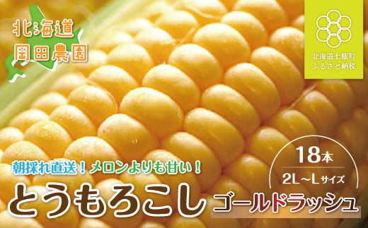 【先行予約】北海道七飯町産とうもろこし「ゴールドラッシュ」18本セット ふるさと納税 人気 おすすめ ランキング とうもろこし ゴールドラッシュ おいしい 北海道 七飯町 送料無料  NAZ012