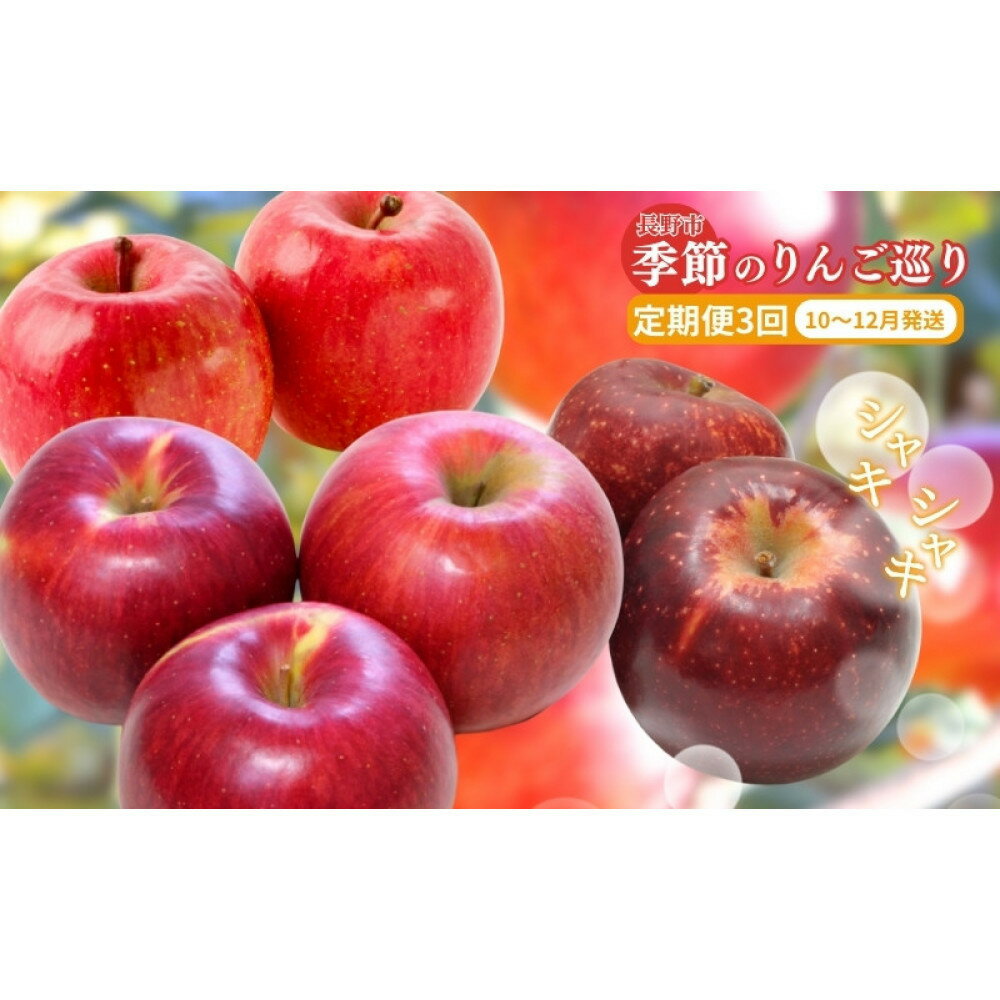 【ふるさと納税】矢島農園　 長野市産 ◎りんごの定期便◎ 10月～12月 3ヵ月連続5kg(12～20玉)ずつお届け　あきばえ・シナノスイート・サンふじ | りんご フルーツ 果物 定期便 送料無料 長野県 長野市 信州 信濃 ふるさと納税