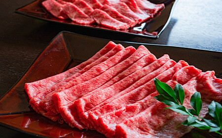 《定期便》＜武州和牛＞焼き肉用・しゃぶしゃぶ用 500g (焼肉用、しゃぶしゃぶ用 各250g)［全3回］ ブランド牛 銘柄牛 埼玉武州和牛 黒毛和牛 和牛 霜降り 牛肉 肉 焼き肉 しゃぶしゃぶ ご