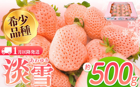 白いちご 淡雪 約500g | 西谷農園
