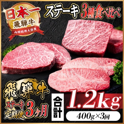 
                  【毎月定期便】飛騨牛 ステーキ定期便 計約1.2kg【冷蔵便】全3回【4055330】
                