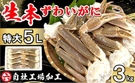 【特大5L】ほんまにうまい！ 生本ずわいがに 3kg (7～8肩) 自社工場加工 鮮度抜群 海鮮 蟹 カニ かに 本ずわいがに ずわいがに ずわい ズワイガニ 冷凍 兵庫県 明石市