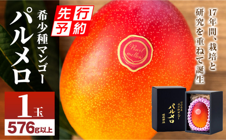 【先行予約】《2025年発送》期間・数量限定 宮崎県産希少種マンゴーパルメロ　計576g以上　1玉入り 完熟マンゴー パルメロ 果物