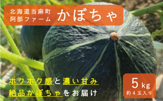 【2025年産先行受付】かぼちゃ5kg　北海道当麻町産ダークホース