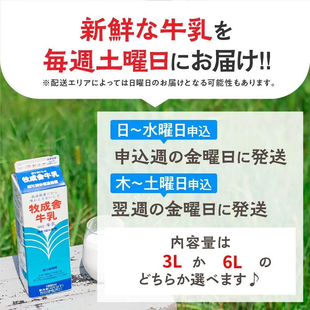 【毎週定期便 牛乳 3本×4回】 毎週 回数選べる 1ヶ月 飛騨産生乳100％ 牧成舎 美味しい低温殺菌牛乳 乳製品 飛騨 お楽しみ