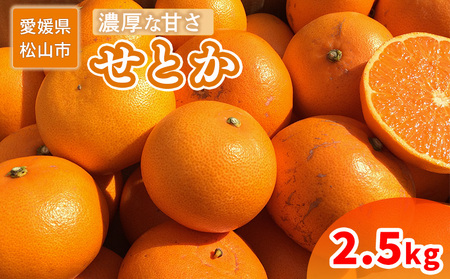 ＜ご家庭用＞ 2月中旬から順次発送 せとか 2.5 kg | 訳あり 蜜柑 高級 果物 甘い フルーツ みかん ミカン オレンジ 柑橘 食べて応援 特産品 愛媛 松山【SU012】