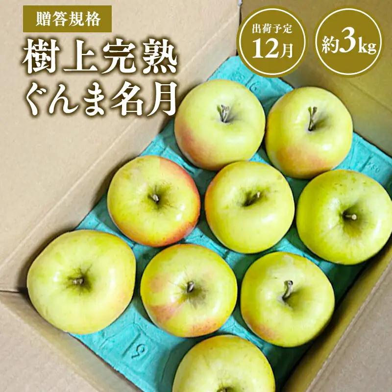 りんご 贈答用 樹上完熟ぐんま名月 約3㎏ 【hi-0038-021】