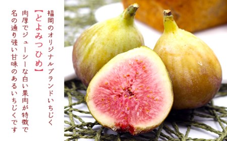 【福岡県産】とよみつひめ（イチジク）　１.２ｋｇ（３００ｇ×４Ｐ） 2J7
